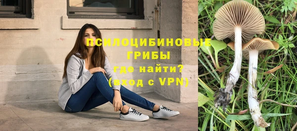 гидра Алексеевка