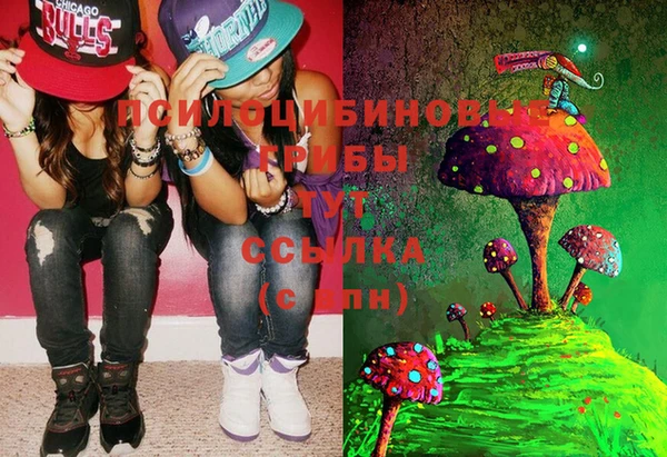 PSILOCYBIN Арсеньев