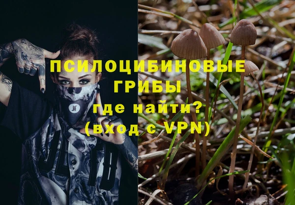 твердый Армянск